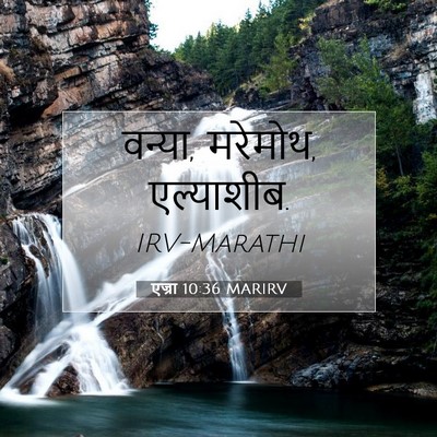 Picture 07 - एज्रा 10:36 MARIRV - वन्या, मरेमोथ, - Bible Verse Picture