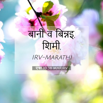 Picture 07 - एज्रा 10:38 MARIRV - बानी व बिन्नइ, - Bible Verse Picture