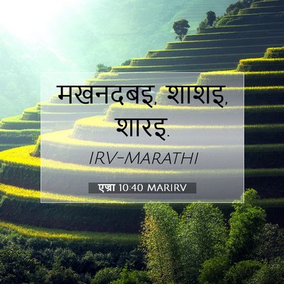 Picture 07 - एज्रा 10:40 MARIRV - मखनदबइ, शाशइ, - Bible Verse Picture