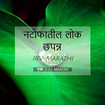 Picture 07 - एज्रा 2:22 MARIRV - नटोफातील लोक - Bible Verse Picture