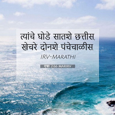 Picture 07 - एज्रा 2:66 MARIRV - त्यांचे घोडे - Bible Verse Picture