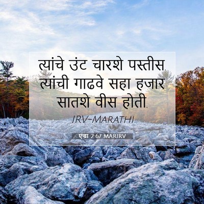 Picture 07 - एज्रा 2:67 MARIRV - त्यांचे उंट चारशे - Bible Verse Picture