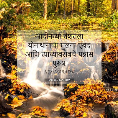 Picture 07 - एज्रा 8:6 MARIRV - आदीनच्या वंशतला - Bible Verse Picture