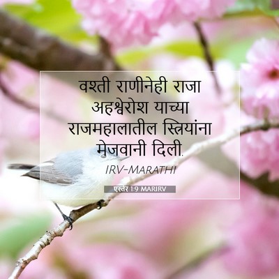 Picture 07 - एस्तेर 1:9 MARIRV - वश्ती राणीनेही - Bible Verse Picture