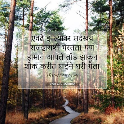 Picture 07 - एस्तेर 6:12 MARIRV - एवढे झाल्यावर - Bible Verse Picture