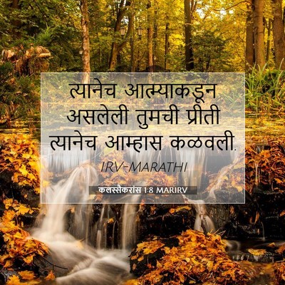 Picture 07 - कलस्सैकरांस 1:8 MARIRV - त्यानेच - Bible Verse Picture