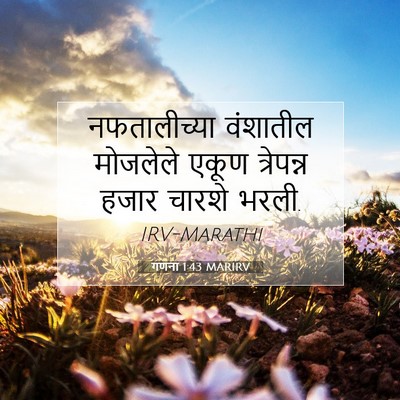 Picture 07 - गणना 1:43 MARIRV - नफतालीच्या - Bible Verse Picture