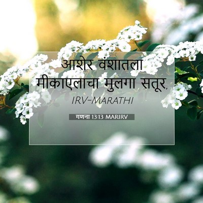 Picture 07 - गणना 13:13 MARIRV - आशेर वंशातला - Bible Verse Picture