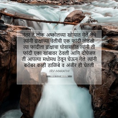 Picture 07 - गणना 13:23 MARIRV - नंतर ते लोक - Bible Verse Picture
