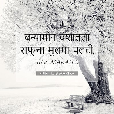 Picture 07 - गणना 13:9 MARIRV - बन्यामीन वंशातला - Bible Verse Picture