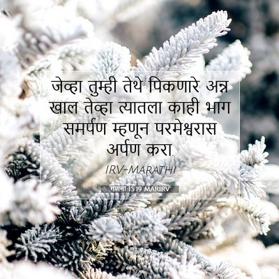 Picture 07 - गणना 15:19 MARIRV - जेव्हा तुम्ही - Bible Verse Picture