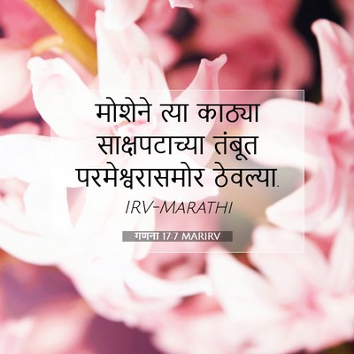 Picture 07 - गणना 17:7 MARIRV - मोशेने त्या - Bible Verse Picture