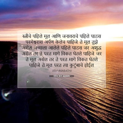 Picture 07 - गणना 18:15 MARIRV - स्त्रीचे पहिले - Bible Verse Picture