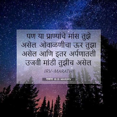 Picture 07 - गणना 18:18 MARIRV - पण या प्राण्यांचे - Bible Verse Picture