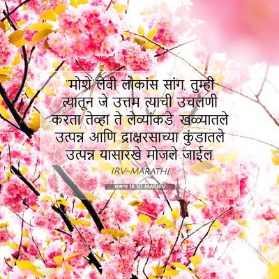 Picture 07 - गणना 18:30 MARIRV - “मोशे लेवी लोकांस - Bible Verse Picture