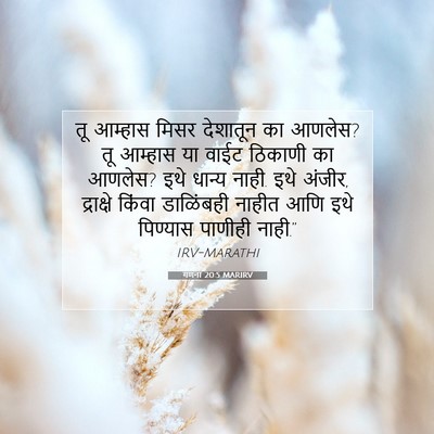 Picture 07 - गणना 20:5 MARIRV - तू आम्हास मिसर - Bible Verse Picture