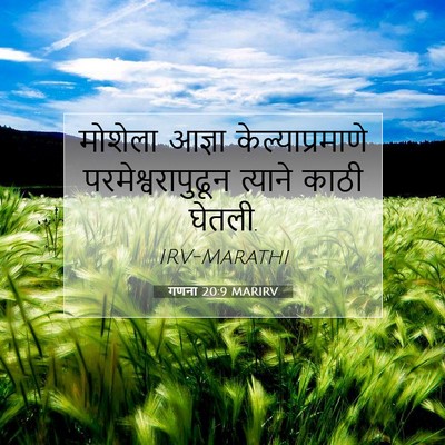 Picture 07 - गणना 20:9 MARIRV - मोशेला आज्ञा - Bible Verse Picture