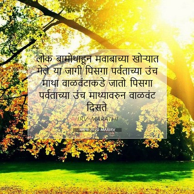 Picture 07 - गणना 21:20 MARIRV - लोक बामोथाहून - Bible Verse Picture