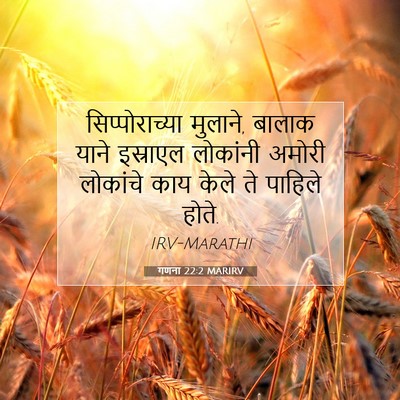 Picture 07 - गणना 22:2 MARIRV - सिप्पोराच्या - Bible Verse Picture