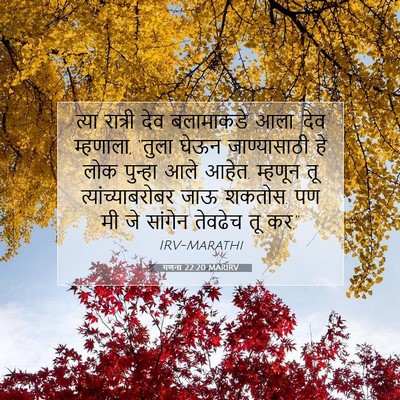 Picture 07 - गणना 22:20 MARIRV - त्या रात्री देव - Bible Verse Picture