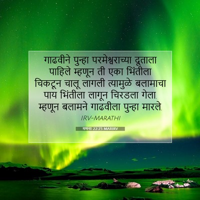 Picture 07 - गणना 22:25 MARIRV - गाढवीने पुन्हा - Bible Verse Picture