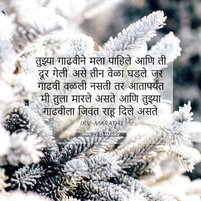 Picture 07 - गणना 22:33 MARIRV - तुझ्या गाढवीने - Bible Verse Picture