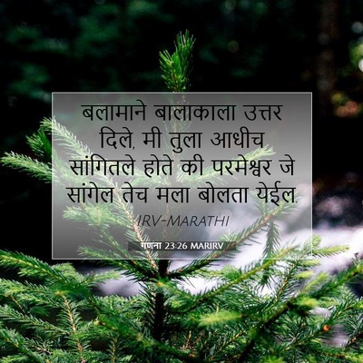 Picture 07 - गणना 23:26 MARIRV - बलामाने बालाकाला - Bible Verse Picture