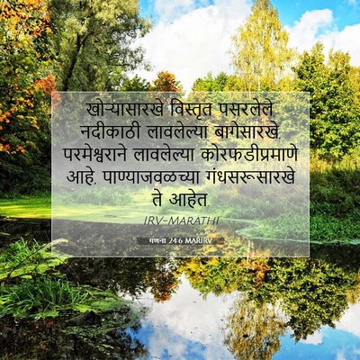 Picture 07 - गणना 24:6 MARIRV - खोऱ्यासारखे - Bible Verse Picture