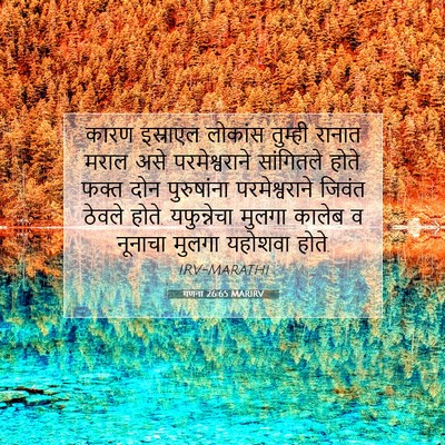Picture 07 - गणना 26:65 MARIRV - कारण इस्राएल - Bible Verse Picture