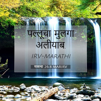 Picture 07 - गणना 26:8 MARIRV - पल्लूचा मुलगा - Bible Verse Picture