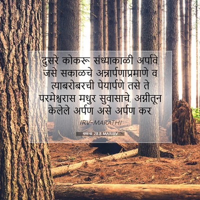 Picture 07 - गणना 28:8 MARIRV - दुसरे कोकरू - Bible Verse Picture