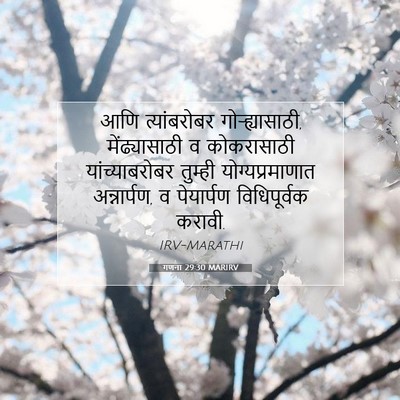 Picture 07 - गणना 29:30 MARIRV - आणि त्यांबरोबर - Bible Verse Picture
