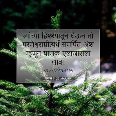 Picture 07 - गणना 31:29 MARIRV - त्यांच्या - Bible Verse Picture