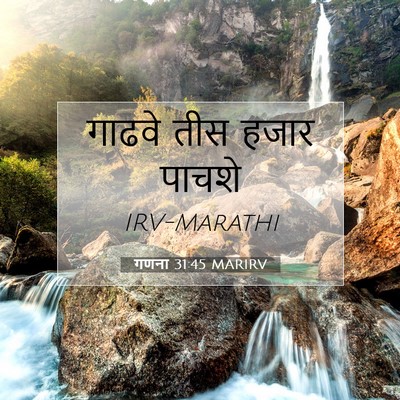 Picture 07 - गणना 31:45 MARIRV - गाढवे तीस हजार - Bible Verse Picture