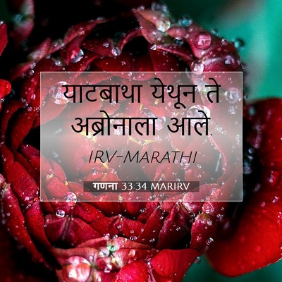 Picture 07 - गणना 33:34 MARIRV - याटबाथा येथून ते - Bible Verse Picture