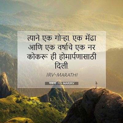 Picture 07 - गणना 7:15 MARIRV - त्याने एक गोऱ्हा, - Bible Verse Picture