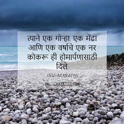 Picture 07 - गणना 7:33 MARIRV - त्याने एक गोऱ्हा, - Bible Verse Picture