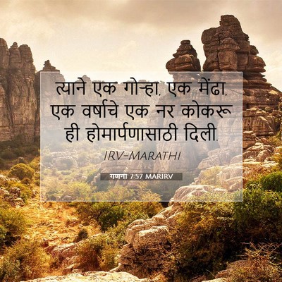 Picture 07 - गणना 7:57 MARIRV - त्याने एक गोऱ्हा, - Bible Verse Picture