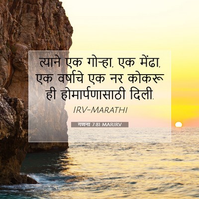 Picture 07 - गणना 7:81 MARIRV - त्याने एक गोऱ्हा, - Bible Verse Picture