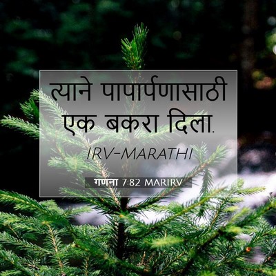 Picture 07 - गणना 7:82 MARIRV - त्याने - Bible Verse Picture