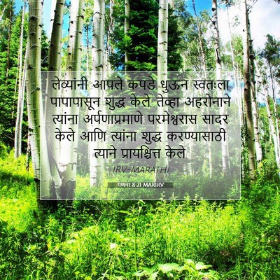 Picture 07 - गणना 8:21 MARIRV - लेव्यांनी आपले - Bible Verse Picture