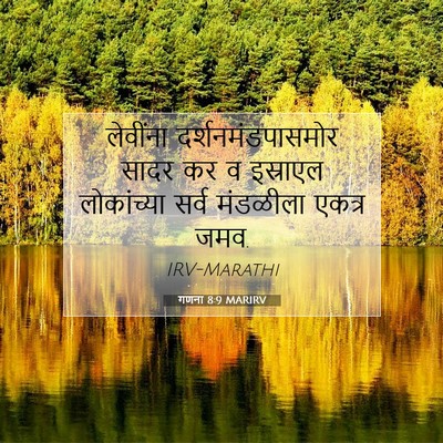 Picture 07 - गणना 8:9 MARIRV - लेवींना - Bible Verse Picture