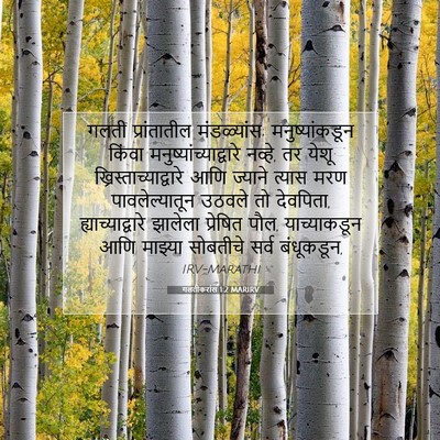 Picture 07 - गलतीकरांस 1:2 MARIRV - गलती प्रांतातील - Bible Verse Picture