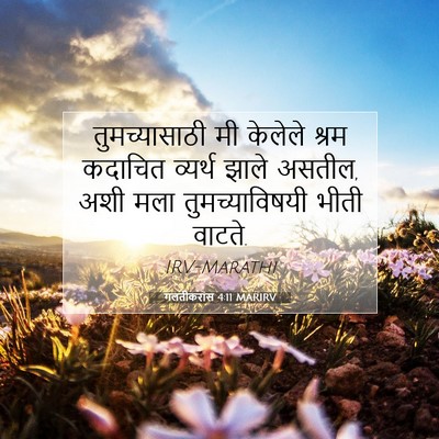 Picture 07 - गलतीकरांस 4:11 MARIRV - तुमच्यासाठी मी - Bible Verse Picture