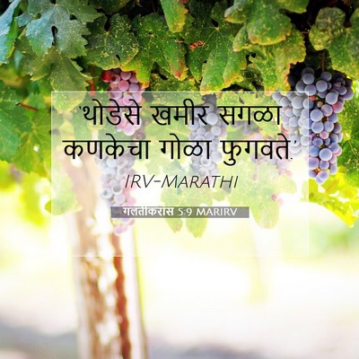 Picture 07 - गलतीकरांस 5:9 MARIRV - ‘थोडेसे खमीर सगळा - Bible Verse Picture