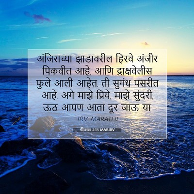 Picture 07 - गीतरत्न 2:13 MARIRV - अंजिराच्या - Bible Verse Picture
