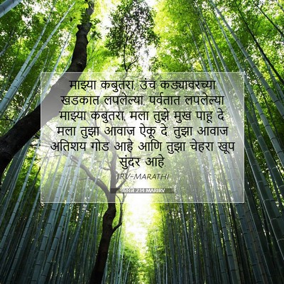 Picture 07 - गीतरत्न 2:14 MARIRV - माझ्या कबुतरा, उंच - Bible Verse Picture