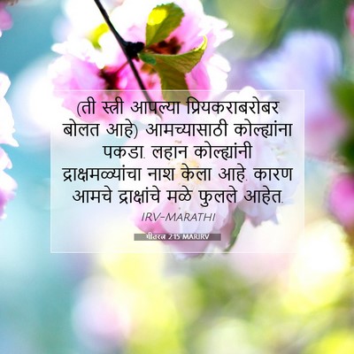 Picture 07 - गीतरत्न 2:15 MARIRV - (ती स्त्री आपल्या - Bible Verse Picture