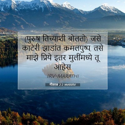 Picture 07 - गीतरत्न 2:2 MARIRV - (पुरुष तिच्याशी - Bible Verse Picture