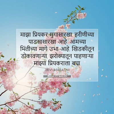 Picture 07 - गीतरत्न 2:9 MARIRV - माझा प्रियकर - Bible Verse Picture